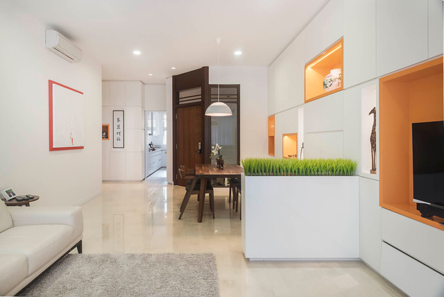 Singapore Houzz: An Apartment Blends Feng Shui With Modern Design